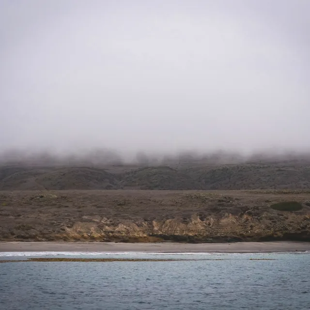 a foggy coastal headland meeting the sea